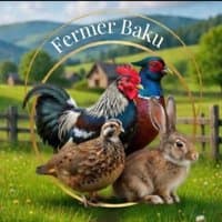 Fermer Baku logosu