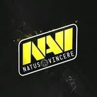 Navi Electronics logosu