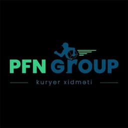 PFN Group logosu